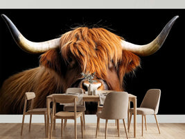 photo-wallpaper-highland-cow-with-sweeping-horns-against-deep-black
