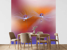 photo-wallpaper-two-worlds