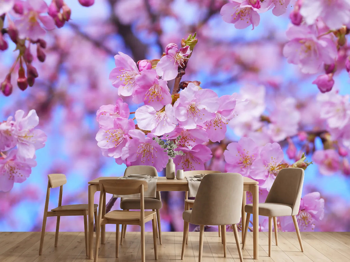 photo-wallpaper-gorgeous-cherry-blossom