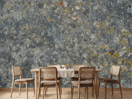 photo-wallpaper-lichen-covered-rock