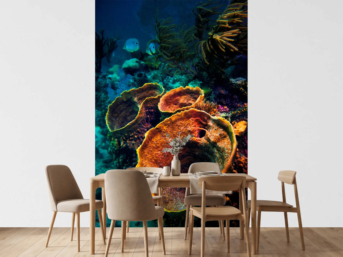 photo-wallpaper-coral-vulcanos