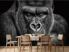 photo-wallpaper-black-and-white-head-portrait-of-a-gorilla