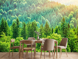 photo-wallpaper-the-forest-hill