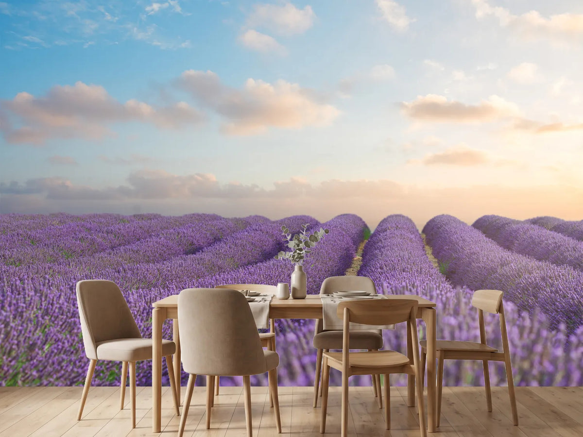 photo-wallpaper-the-blooming-lavender-field
