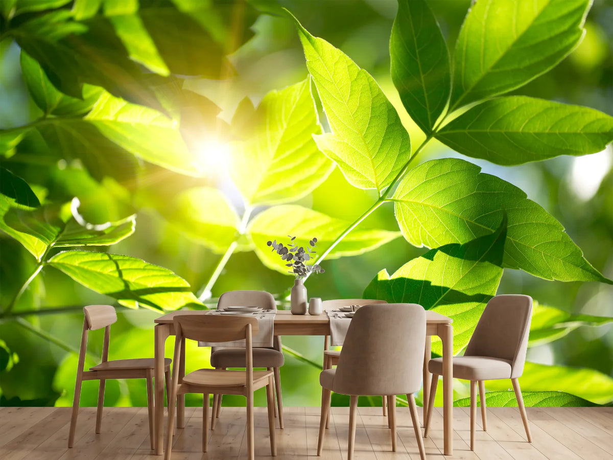 photo-wallpaper-go-green