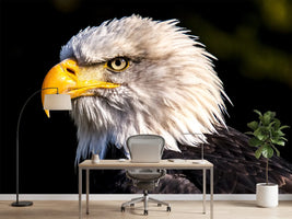 photo-wallpaper-the-eagle-head