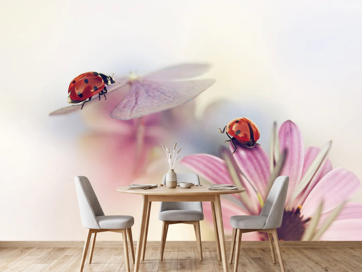 photo-wallpaper-last-days-of-summer-x
