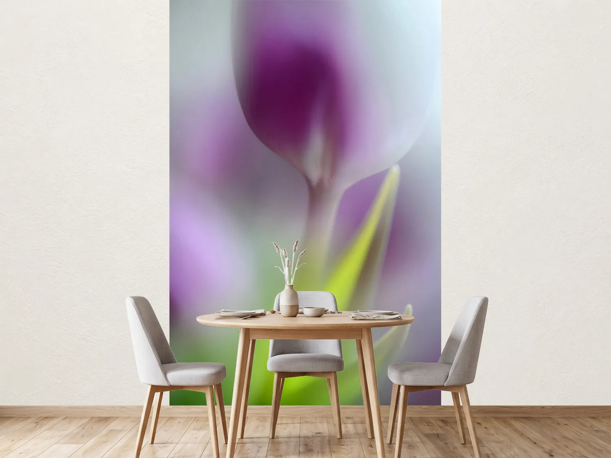photo-wallpaper-soft-secrets