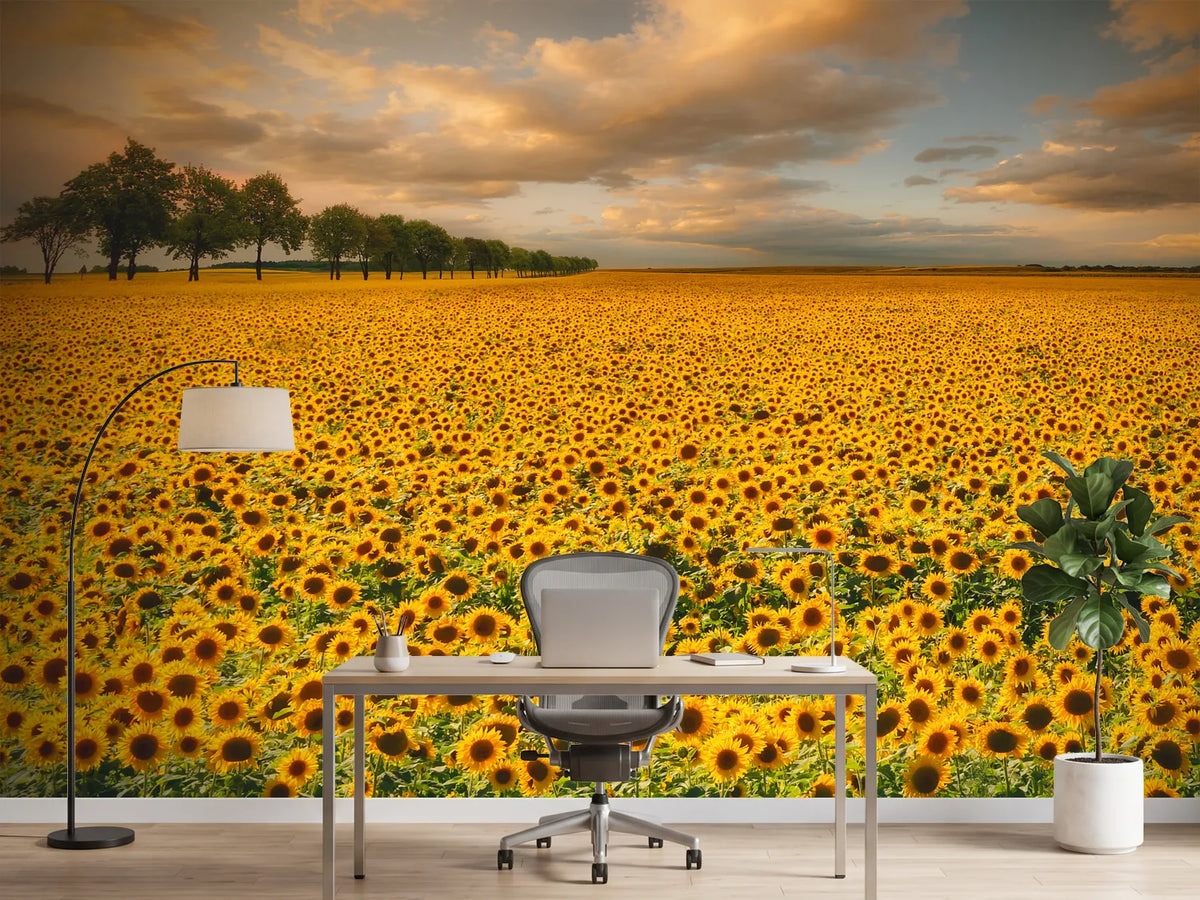 photo-wallpaper-sunflowers