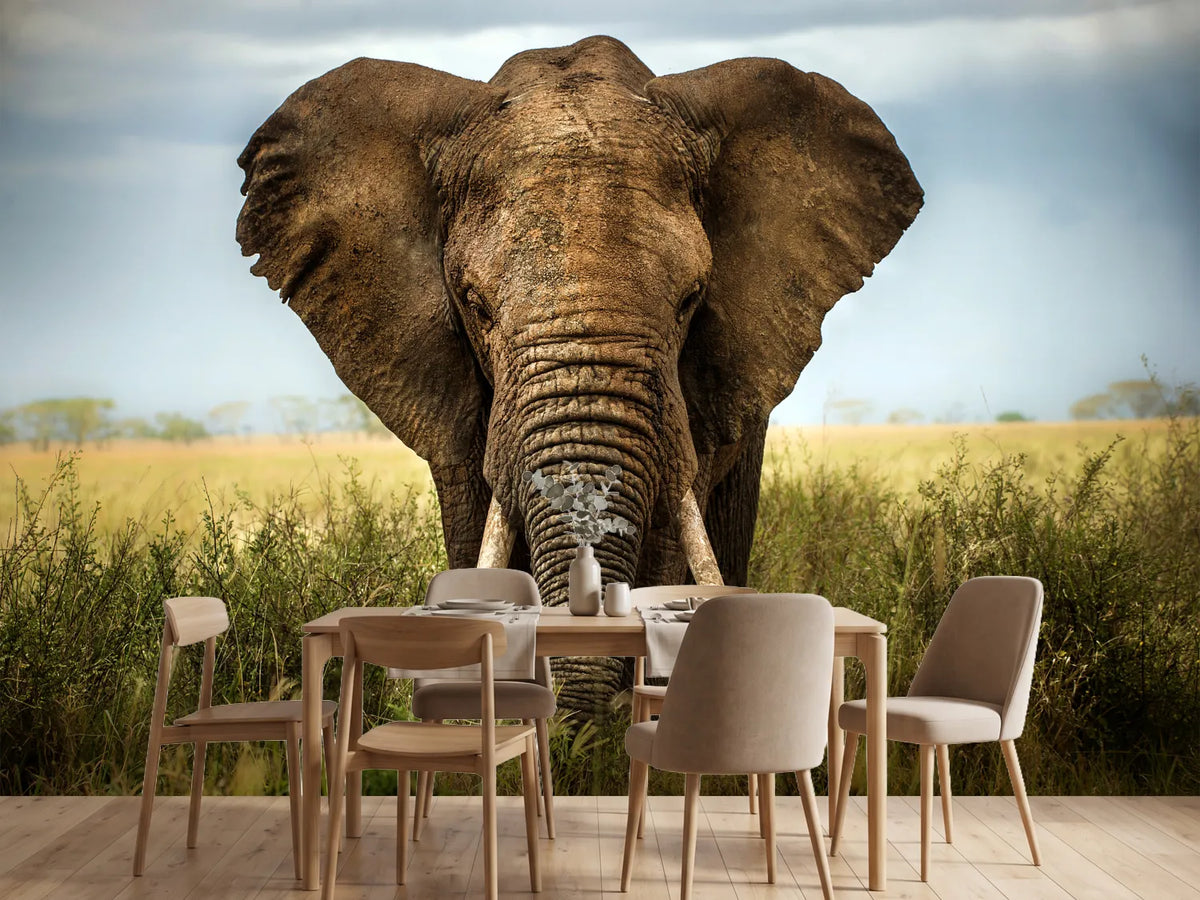 photo-wallpaper-encounters-in-serengeti-x