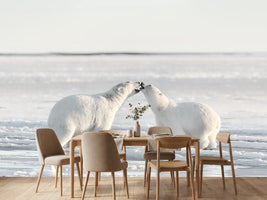 photo-wallpaper-morning-celebration-x