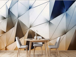 photo-wallpaper-dynamic-triangular-facade
