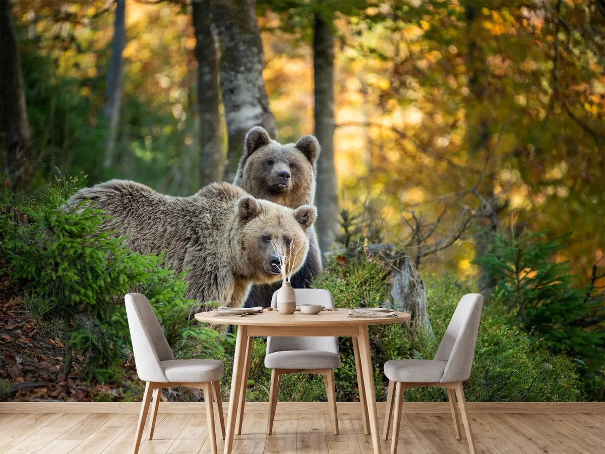 photo-wallpaper-brown-bear-in-autumn-forest