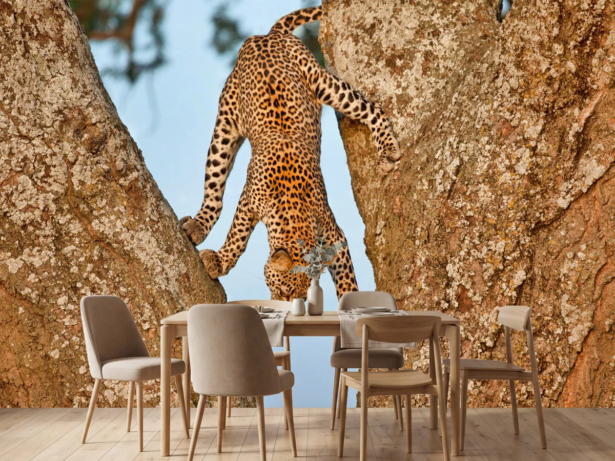 photo-wallpaper-leopards-graceful-descent