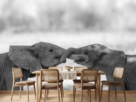 photo-wallpaper-greetings-x