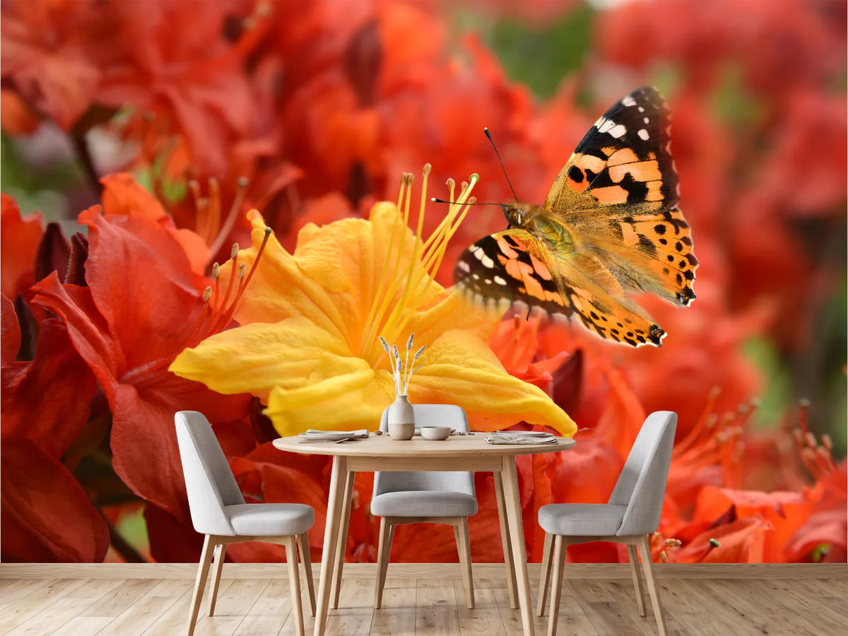 photo-wallpaper-butterfly-498