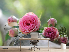 photo-wallpaper-bush-roses