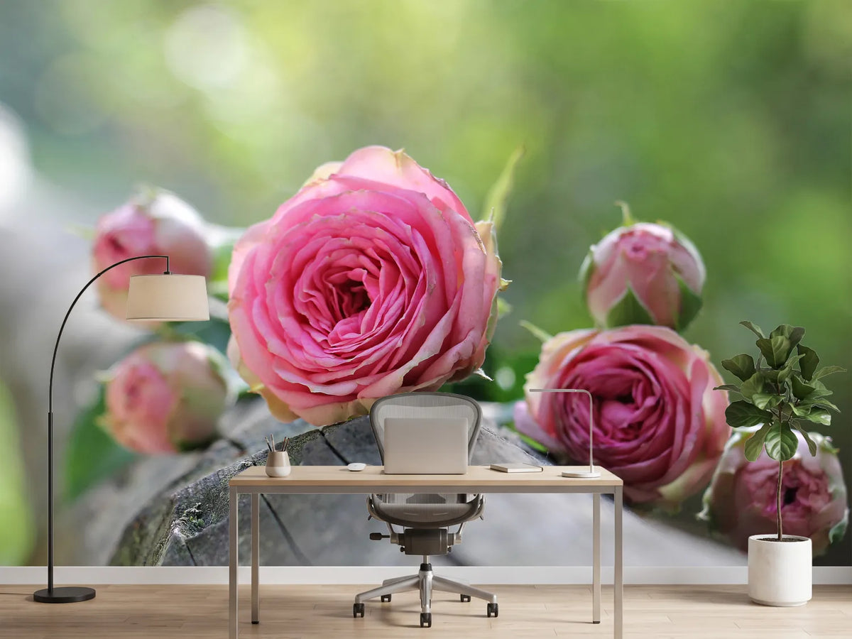 photo-wallpaper-bush-roses