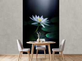 photo-wallpaper-reflection-iii