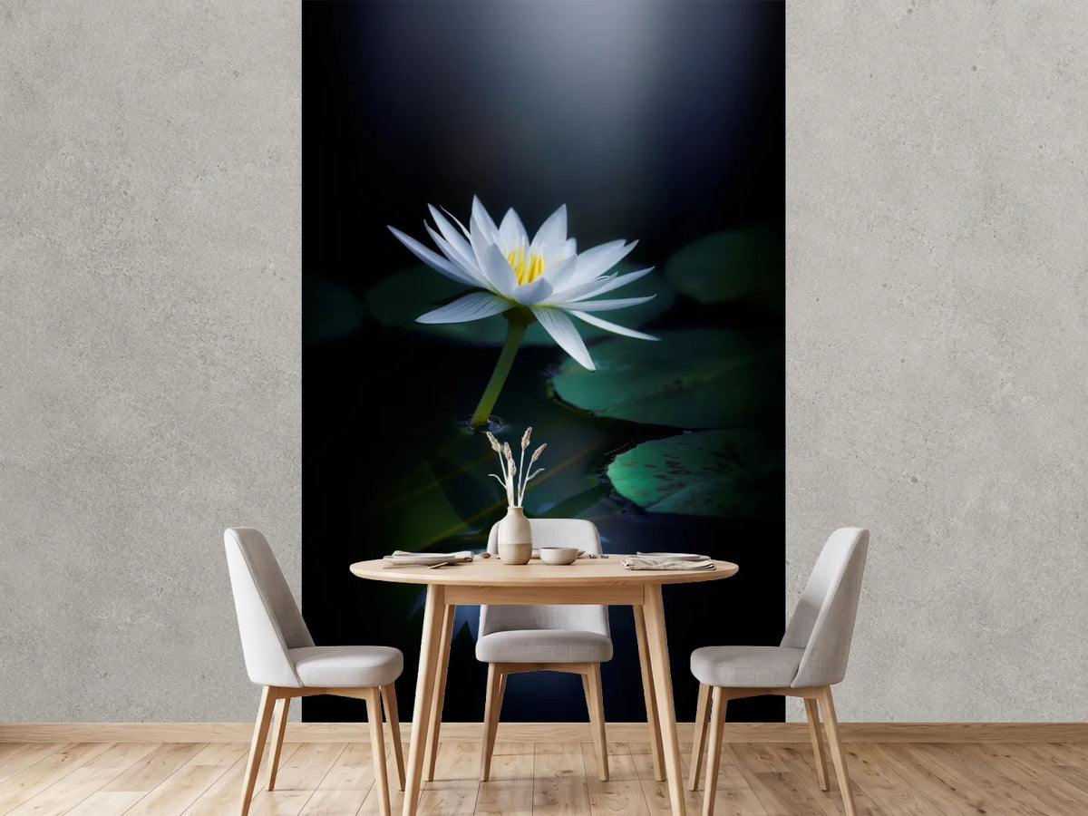 photo-wallpaper-reflection-iii