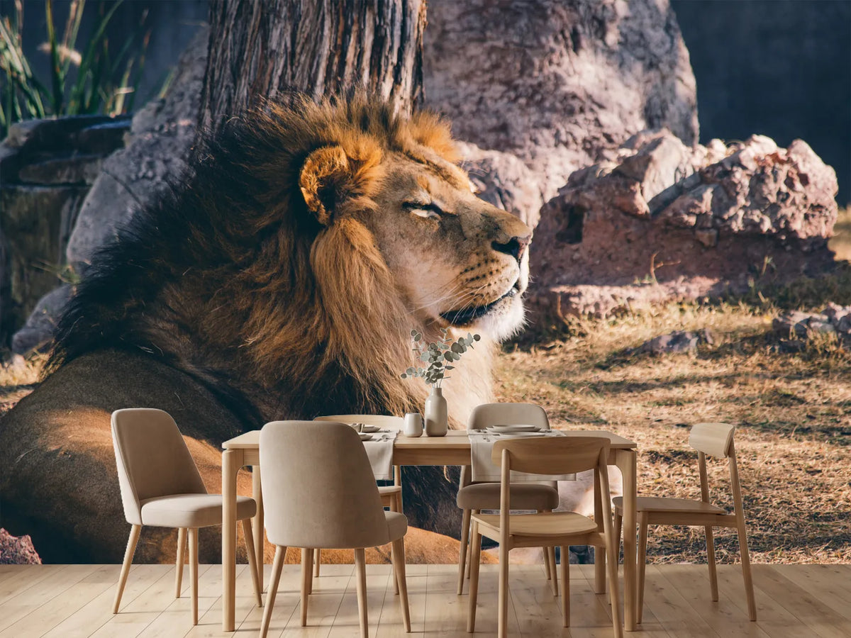 photo-wallpaper-lion-is-sunning-himself