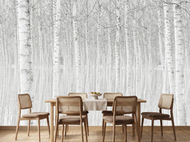 photo-wallpaper-trees