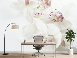 photo-wallpaper-fantastic-orchids