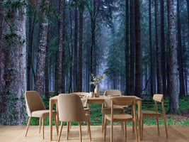 photo-wallpaper-fir-trees-forest
