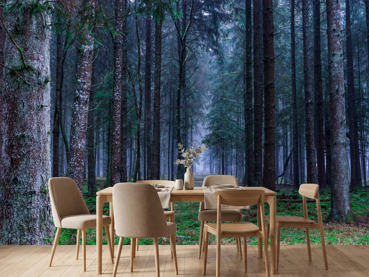 photo-wallpaper-fir-trees-forest
