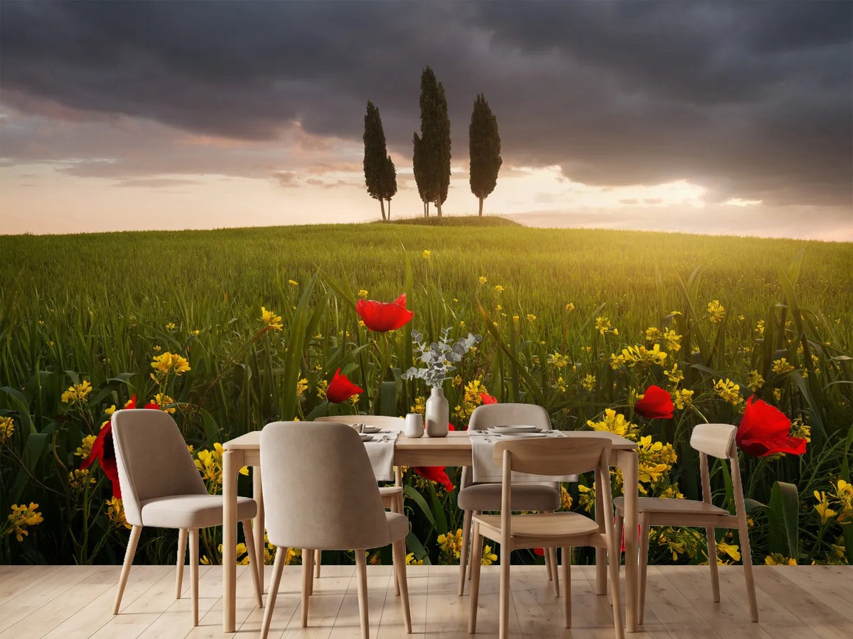 photo-wallpaper-blooming-tuscany-x