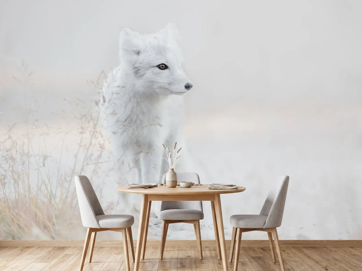 photo-wallpaper-looking-around