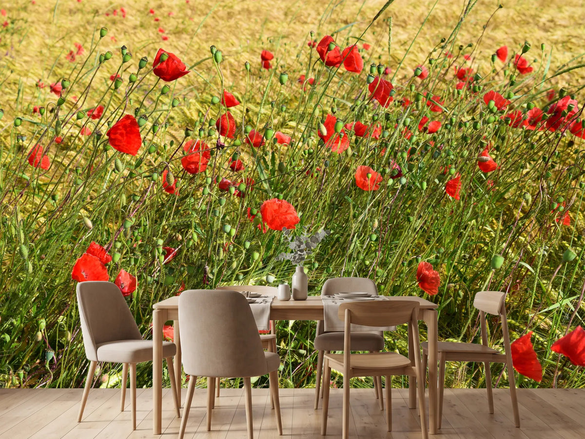 photo-wallpaper-the-poppy-in-the-wind