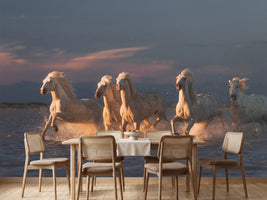 photo-wallpaper-camargue-horses-on-sunset-xve