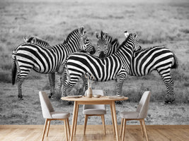 photo-wallpaper-stripes-xoh