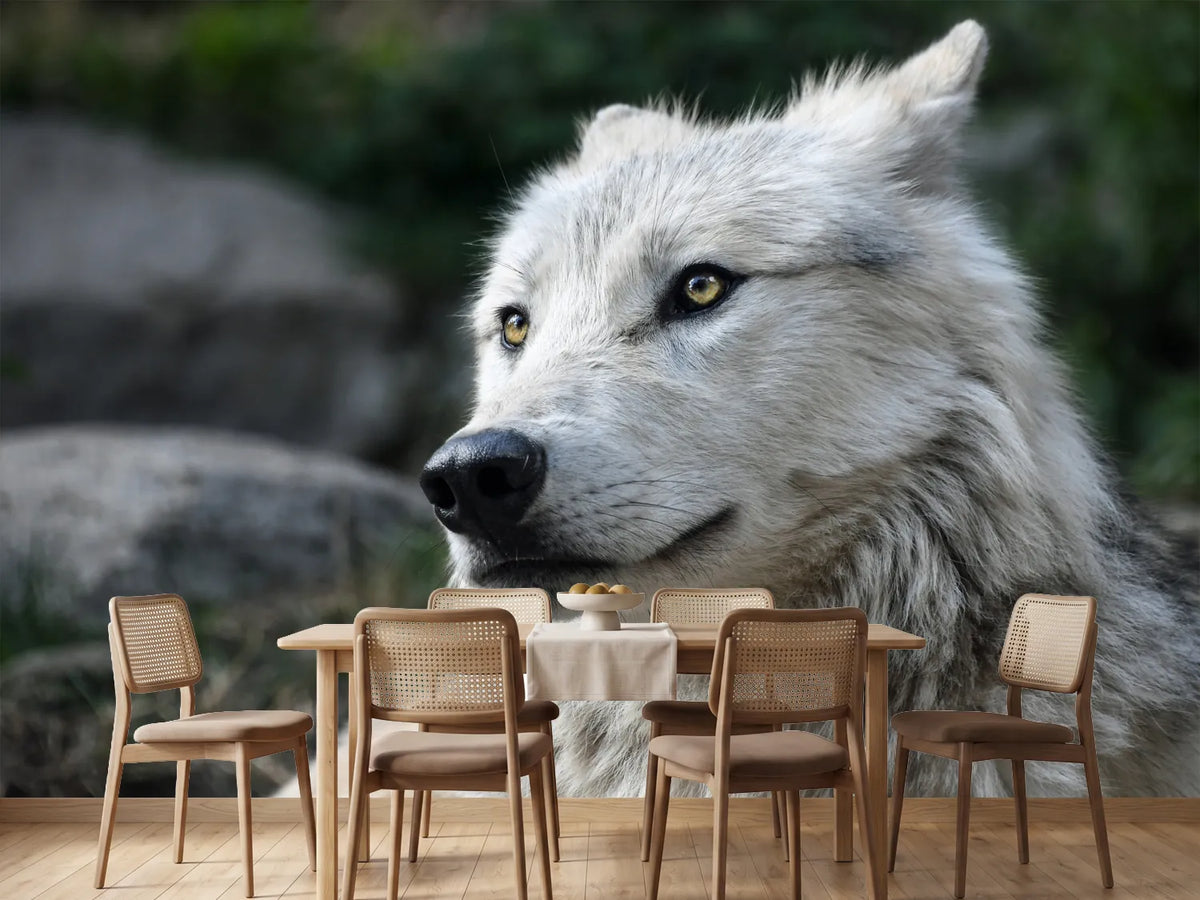 photo-wallpaper-the-lonely-wolf