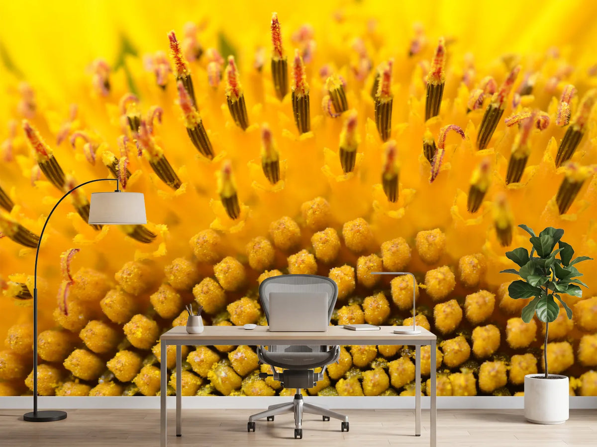 photo-wallpaper-the-buds-of-the-sunflower-in-xxl