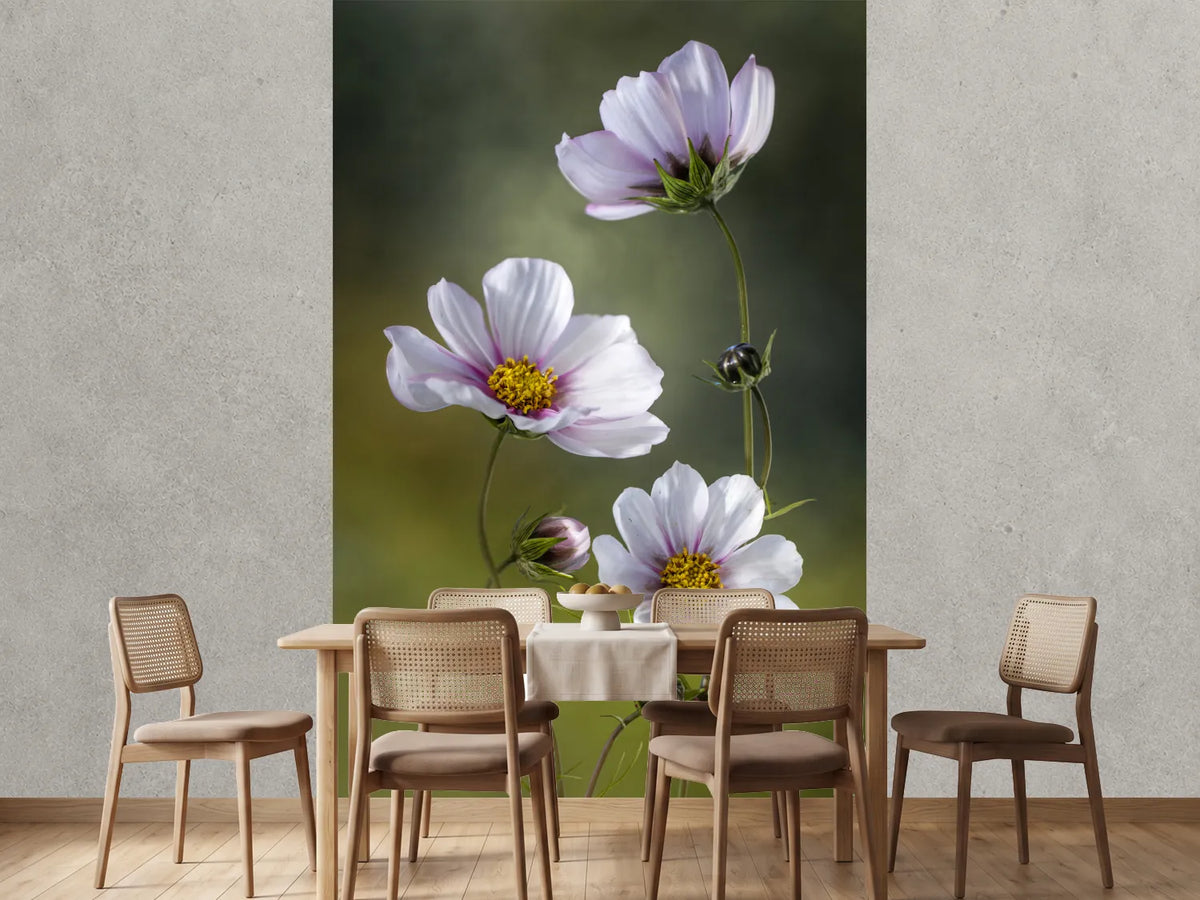 photo-wallpaper-cosmos-ii