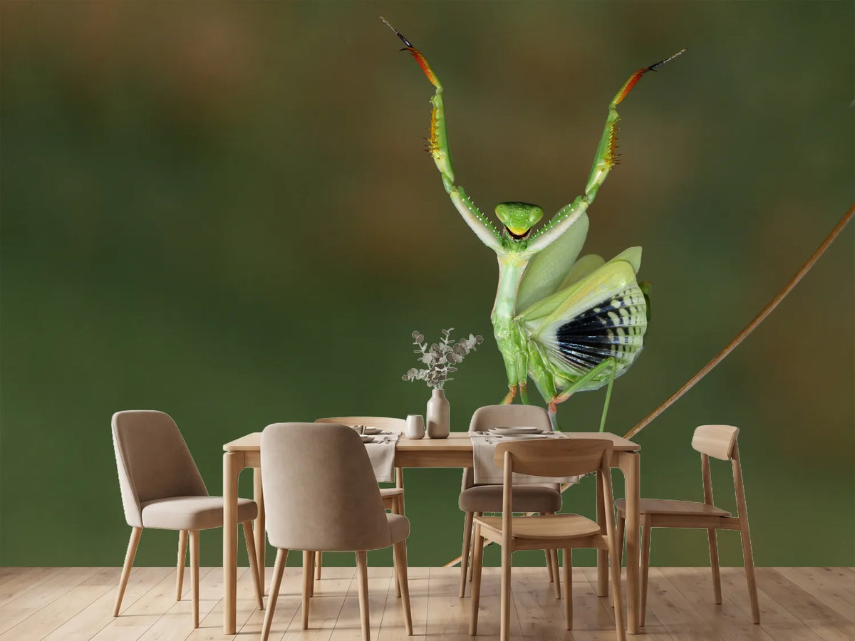 photo-wallpaper-are-you-gonna-dance-with-me
