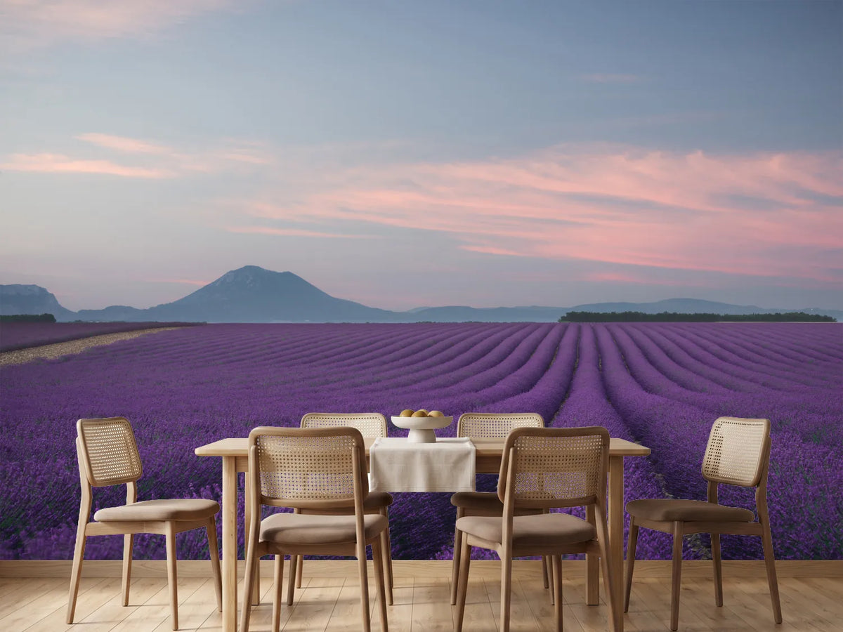 photo-wallpaper-lavender-field