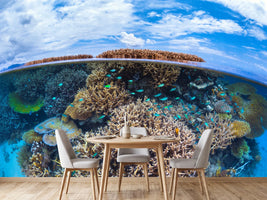photo-wallpaper-split-level-from-mayotte-reef-x