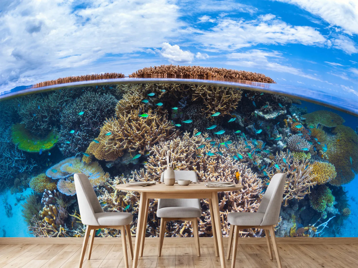 photo-wallpaper-split-level-from-mayotte-reef-x