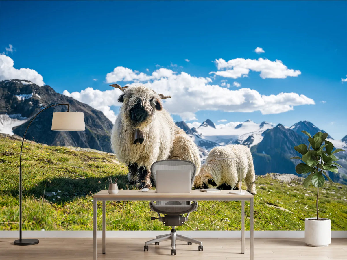 photo-wallpaper-sheep-in-the-wind-of-the-alps