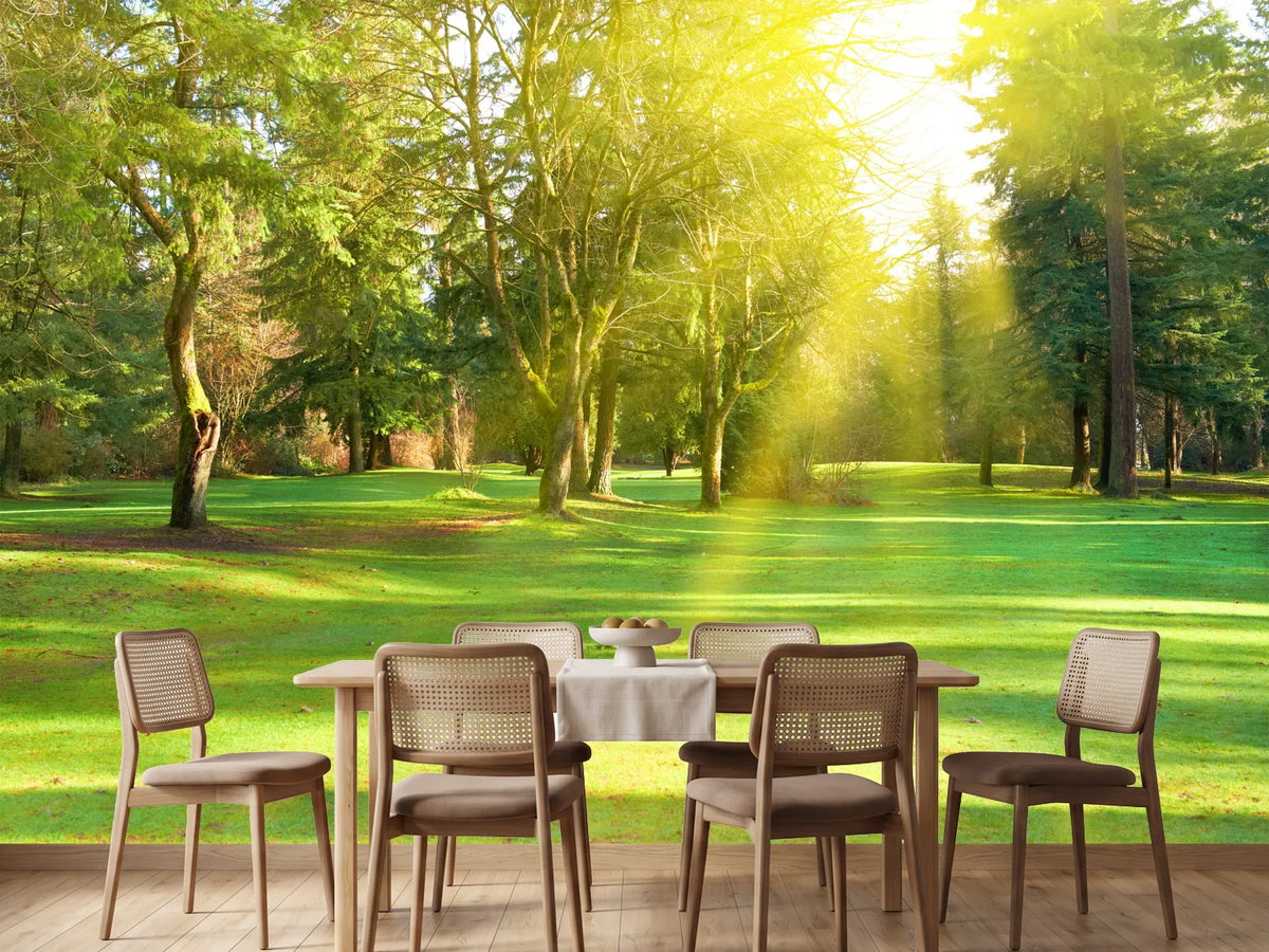 photo-wallpaper-in-the-park