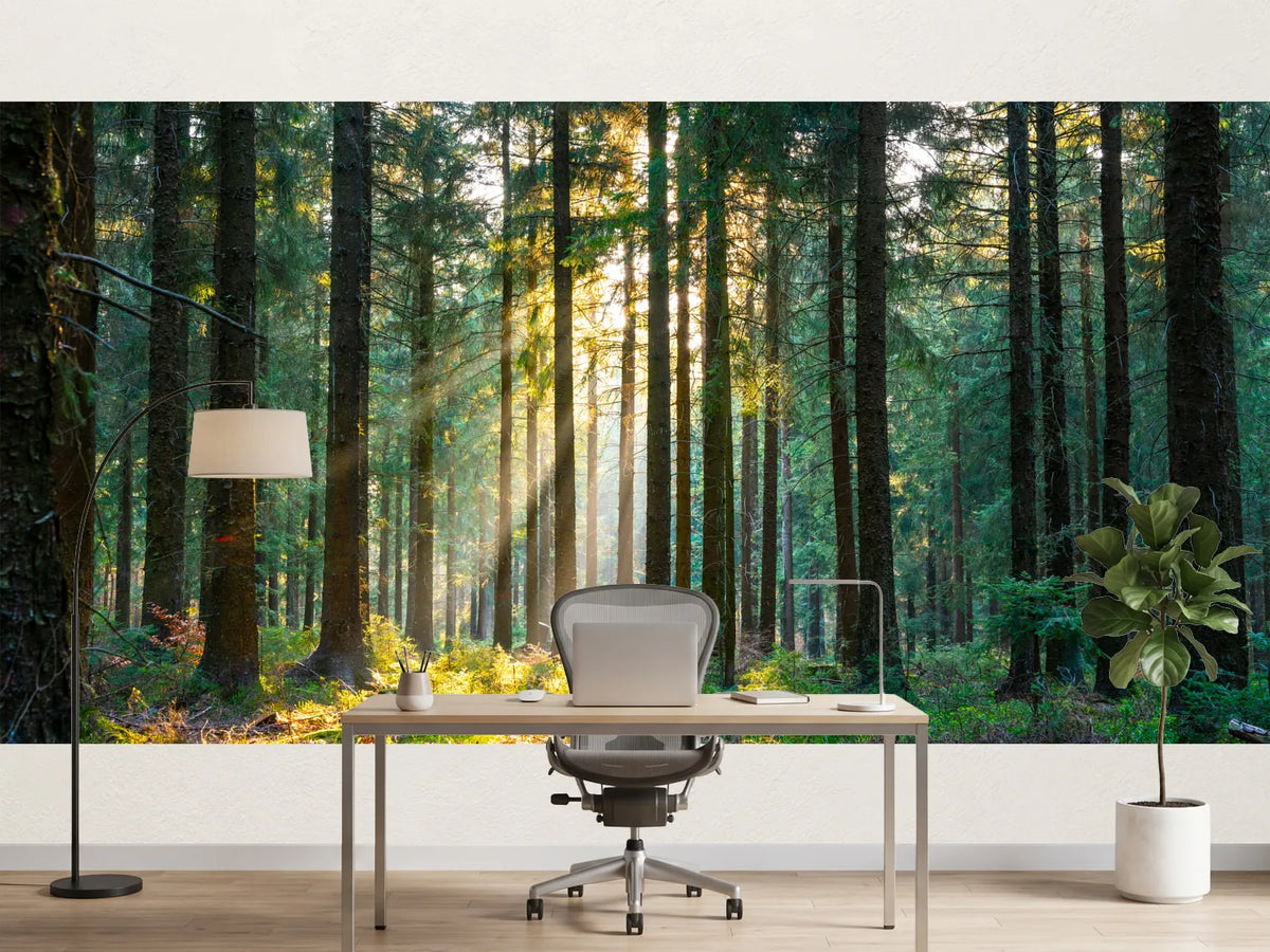 photo-wallpaper-silent-forest-in-spring-with-beautiful-bright-sun-rays-2