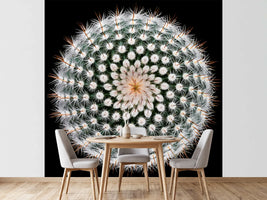 photo-wallpaper-notocactus-scopa