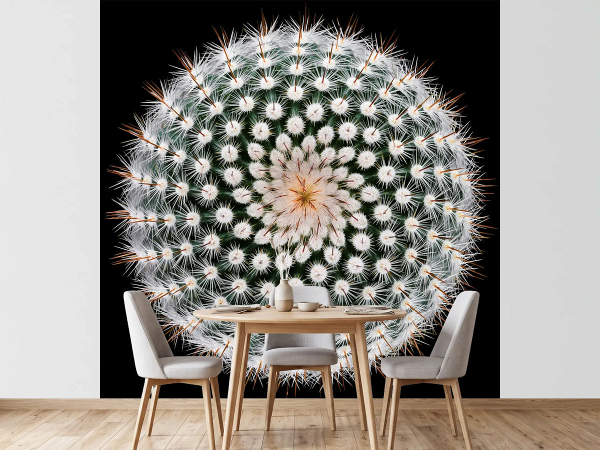 photo-wallpaper-notocactus-scopa