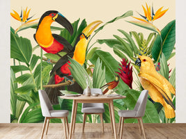 photo-wallpaper-exotic-rainforest-birds