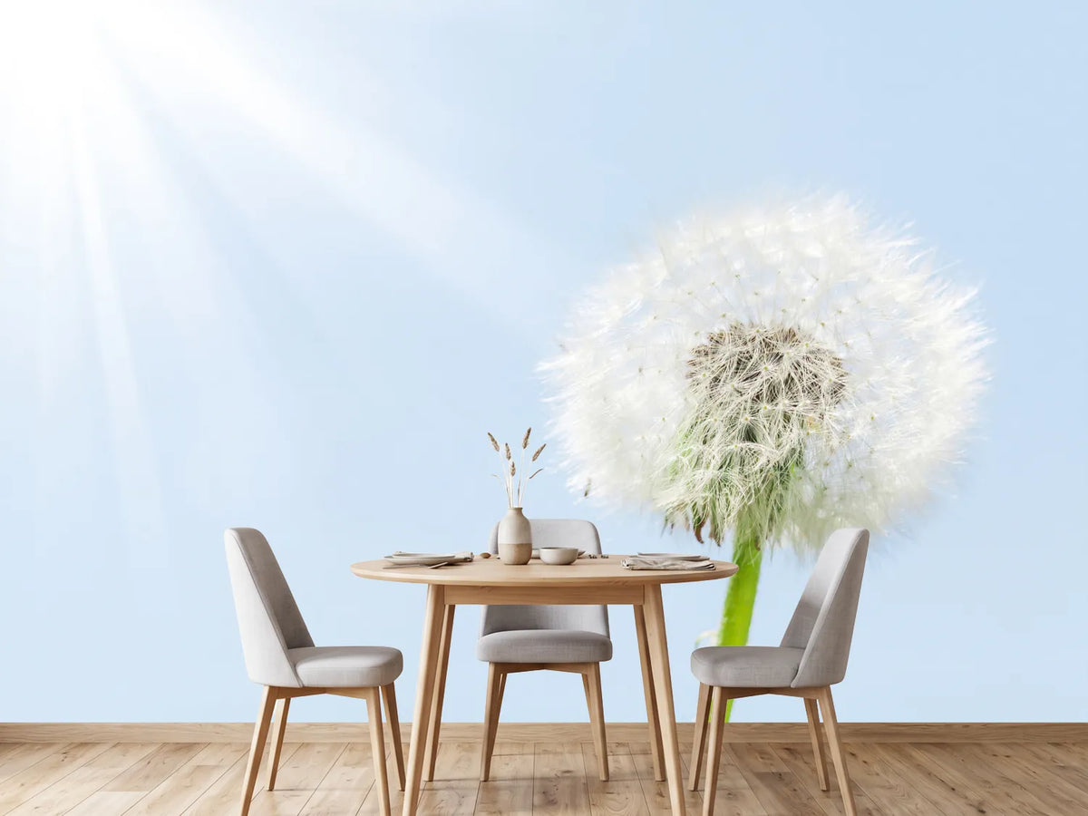photo-wallpaper-dandelion-in-sunbeam