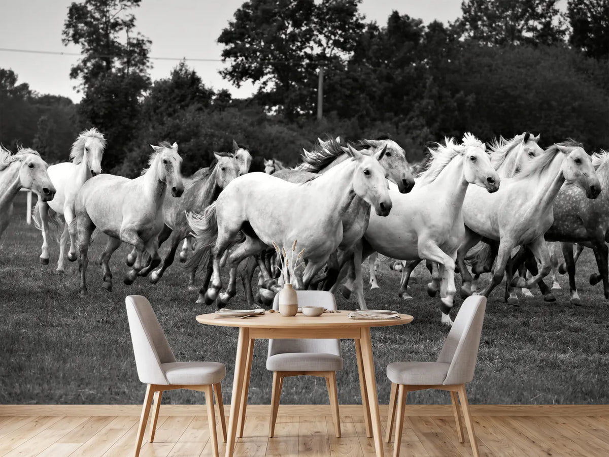photo-wallpaper-the-mustang-herd