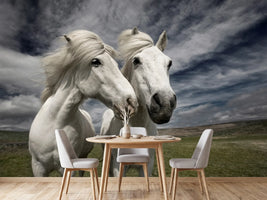 photo-wallpaper-inseparables-x